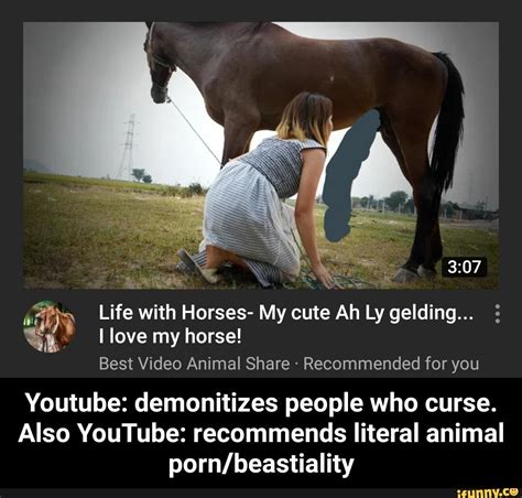 horse beastiality|Horse Porn